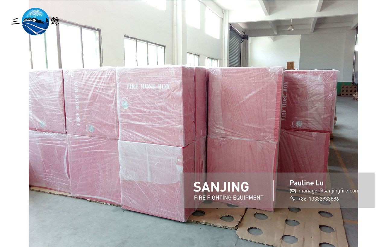 Fire extinguisher customzed type cabinet 1001