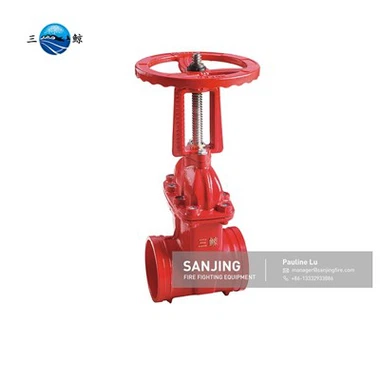 Socket Weld Rising Stem Gate Valve