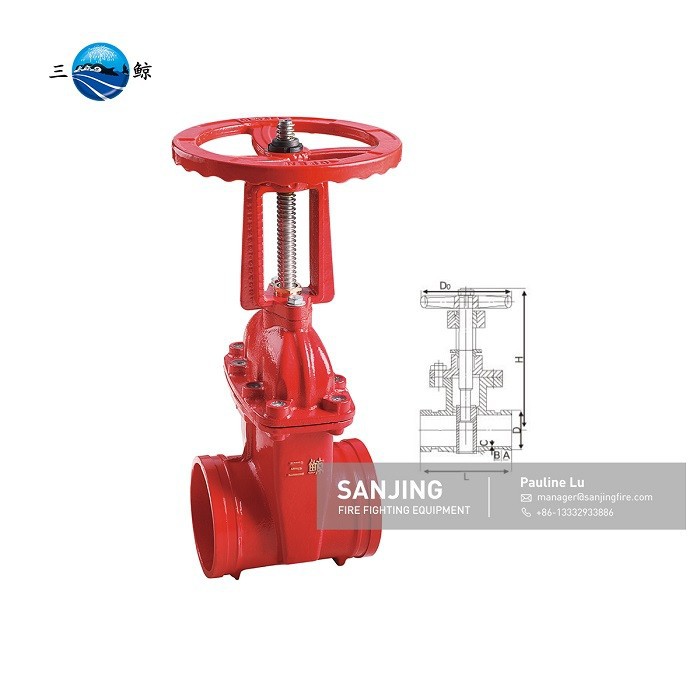 Threaded rising stem gate valve (1)